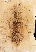 LEONARDO da Vinci The organs of the woman oil painting artist